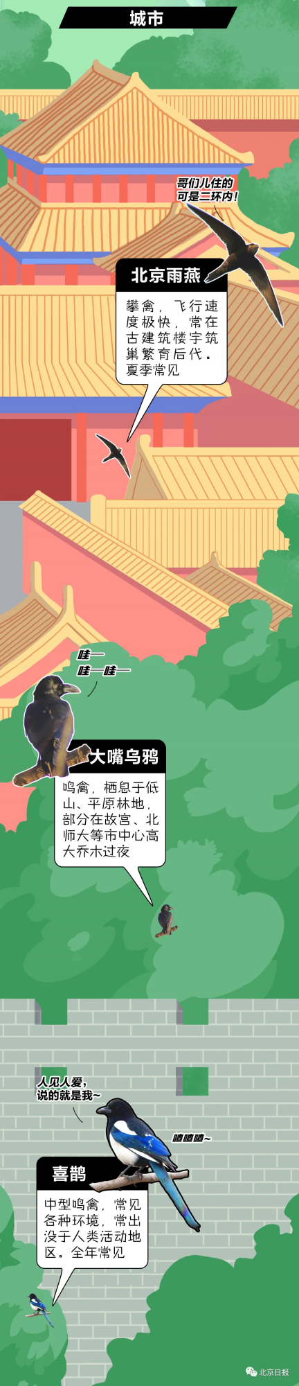 北 京 百 鳥 圖 鑑