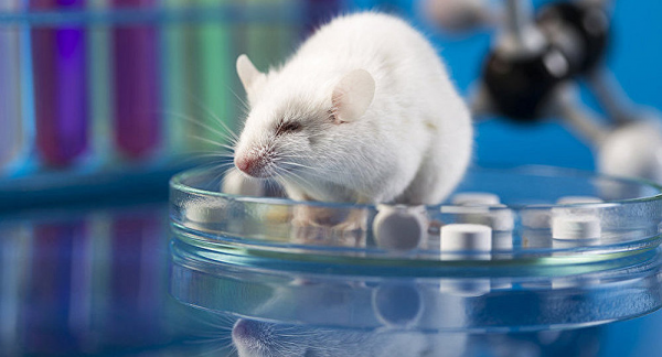 第一個獲得諾貝爾醫學獎的人