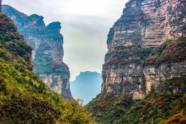 彩林之秋 | 觀山觀水觀紅葉,來旺蒼尋“醉”美秋色~ 彩林之秋 | 觀山觀水觀紅葉,來旺蒼尋“醉”美秋色~