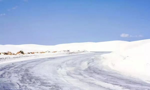 戈壁灘裡,我們遭遇狼群 戈壁灘裡,我們遭遇狼群