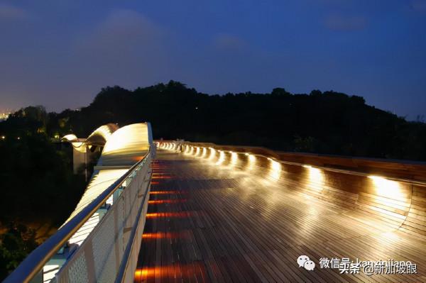 教你如何10元玩轉新加坡