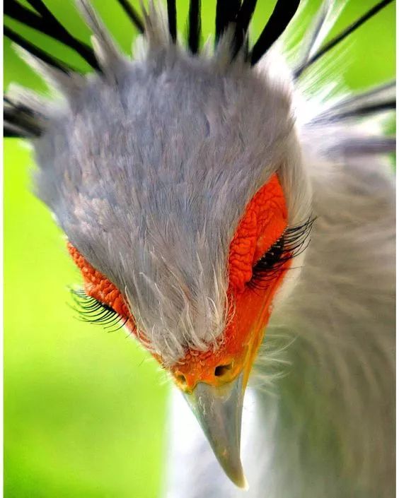 怎樣讓女孩順利度過叛逆期