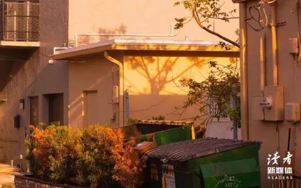 獨來獨往的女人，其實都很厲害