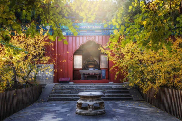 在北京過個秋天，立刻退掉了去騰衝的機票