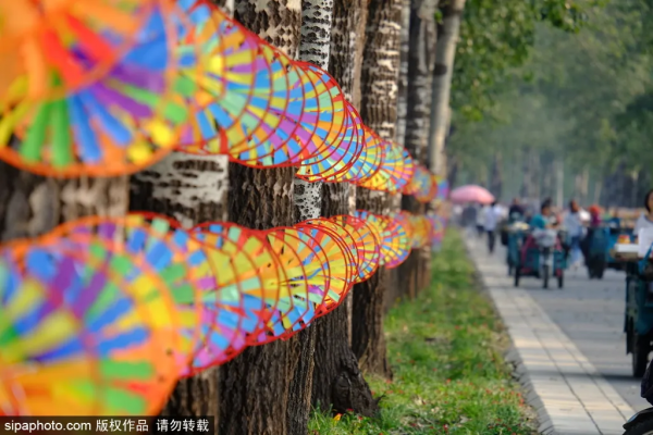 救急！還沒安排小長假？這份指南告訴你京城那些人間值得的自然風光！