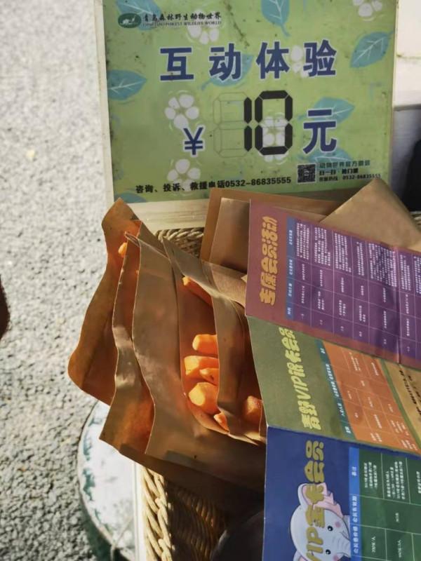 青島森林野生動物世界：園區不太野 管理倒挺野