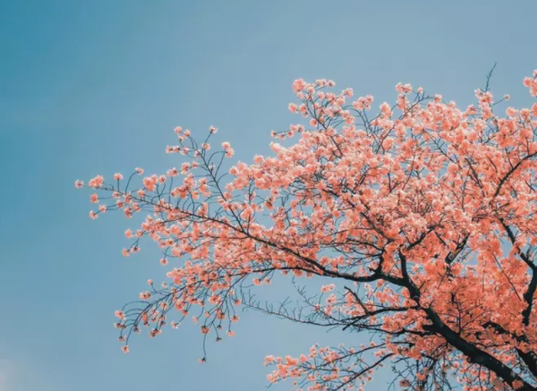 你在哪天出生,就是哪首詩 你在哪天出生,就是哪首詩