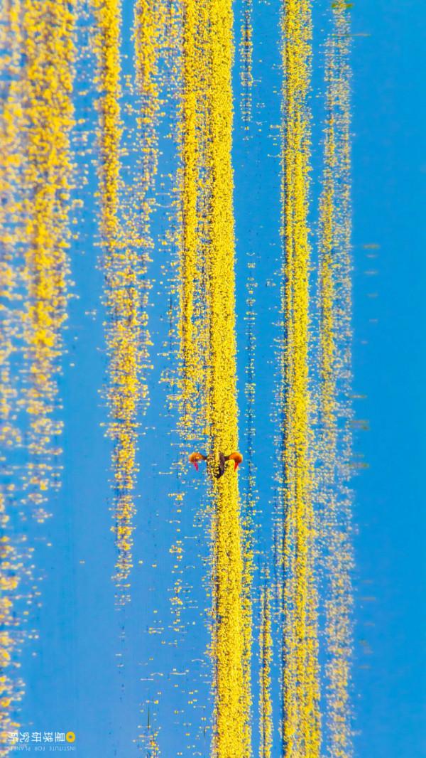 四川從哪裡來? 四川從哪裡來?