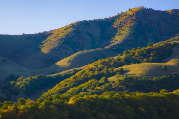 秋天的杏花谷：每一幀都是風光大片