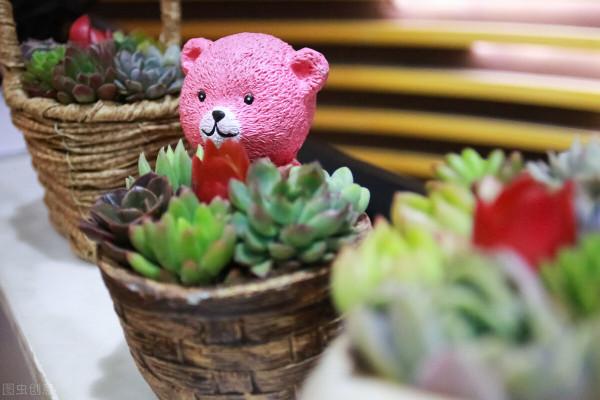 本以為這些網紅養花物品，只有“誇誇其談”，用過才發現很實用