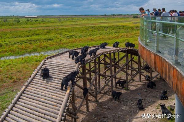 老許路書:遊遍黑龍江,美景一網打盡,13個地市一個不能少 老許路書:遊遍黑龍江,美景一網打盡,13個地市一個不能少