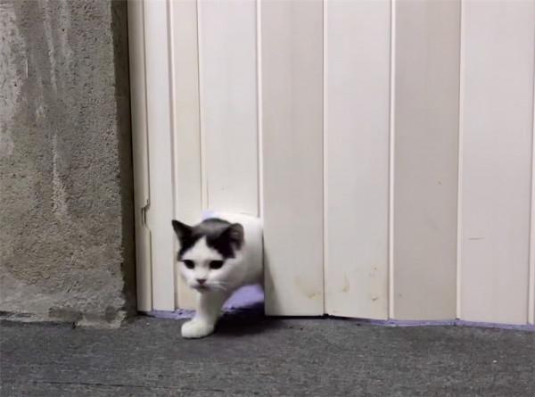 90後東北小夥在廣州買房，因沒錢裝修住3年毛坯房，網友：太灑脫