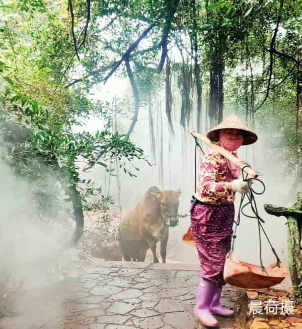 朋友圈2021年第31期