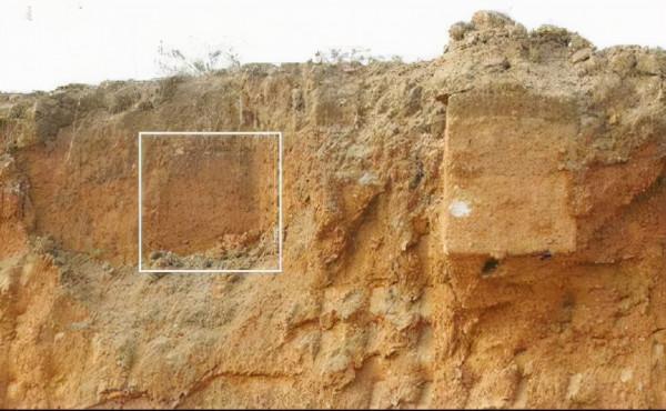 2008年，廣西出土傳說中的七星巨棺，棺內還有&quot;龍鬚&quot;纏繞