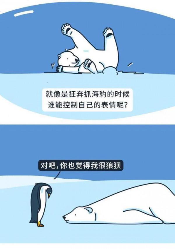 漫畫:努力的人,一般都很狼狽 漫畫:努力的人,一般都很狼狽