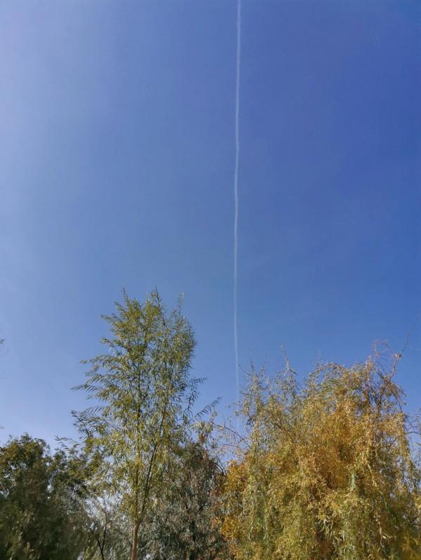 額濟納隔離日記之第七日 額濟納隔離日記之第七日