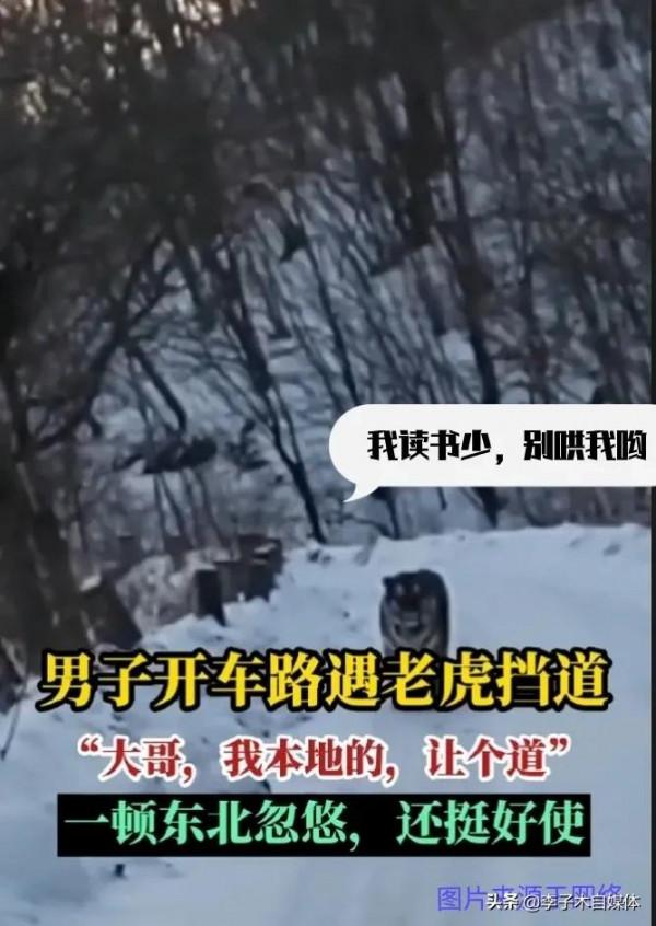 野外遇到野生動物該怎麼做，是下車拍照，還是和它認親戚