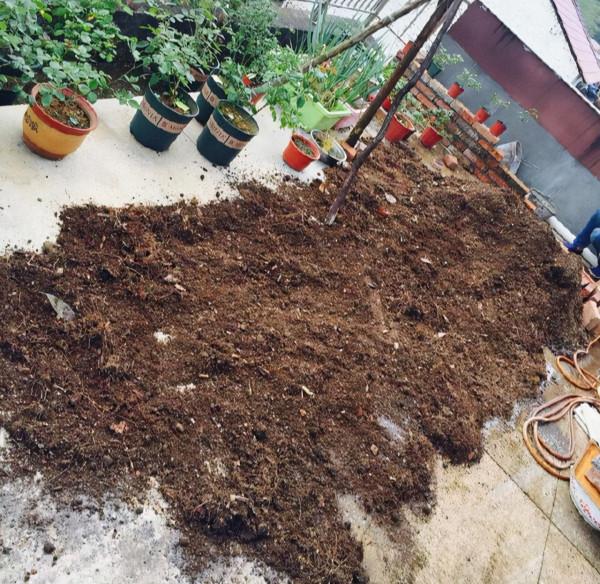 養花的“舊土”加點“廢物”，又肥的流油，養花一級棒