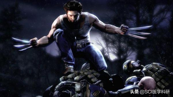 Nature子刊：“金屬骨頭”——鈦合金，可加速骨骼再生