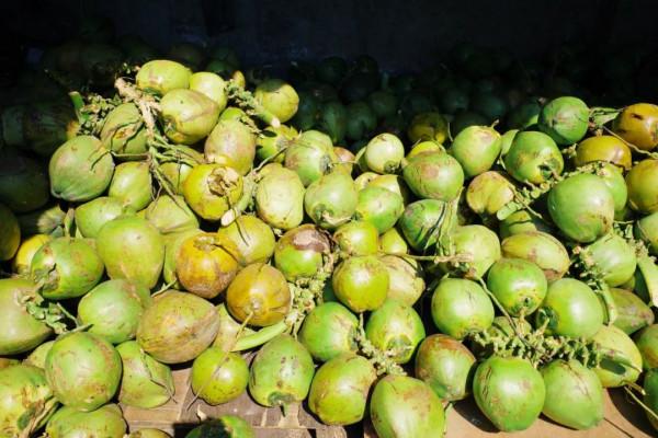 在這裡我毫不焦慮，還實現了水果自由