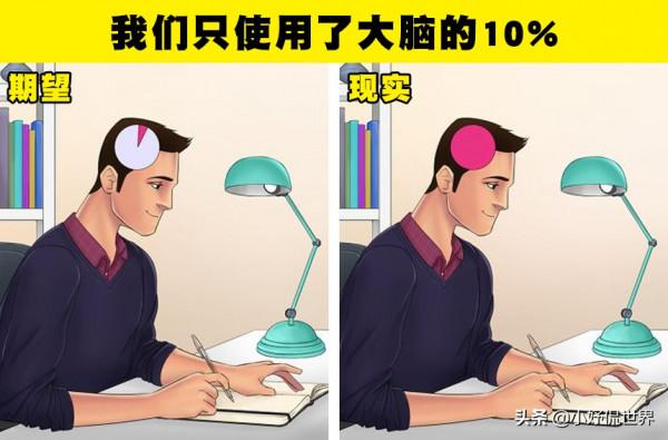 家中長子真是天生的領導嗎?揭示生活中我們錯誤相信的7個觀念 家中長子真是天生的領導嗎?揭示生活中我們錯誤相信的7個觀念