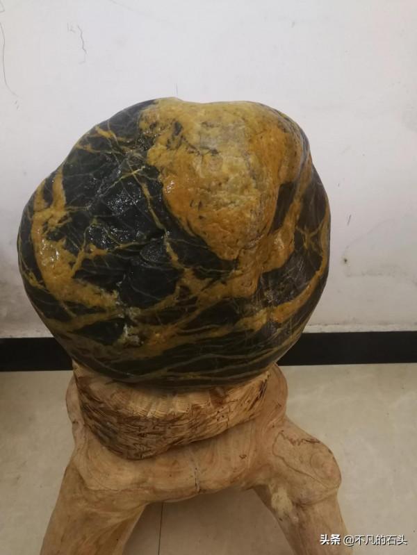 湖南小夥到一塊金包鐵金紋石，上面有一個龍頭圖案神龍見首不見尾