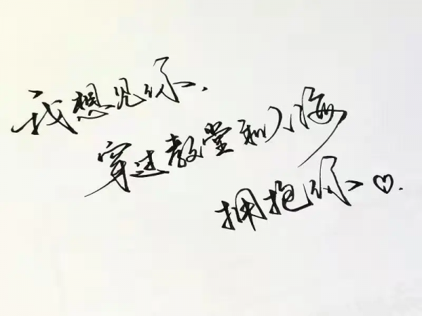 折梅伴素琴，輕收一窗月，長夜好讀書，煮茶待飛雪