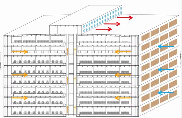 9層豪華“酒店”居住8000頭母豬，上下電梯不掃圈不喂料，長啥樣