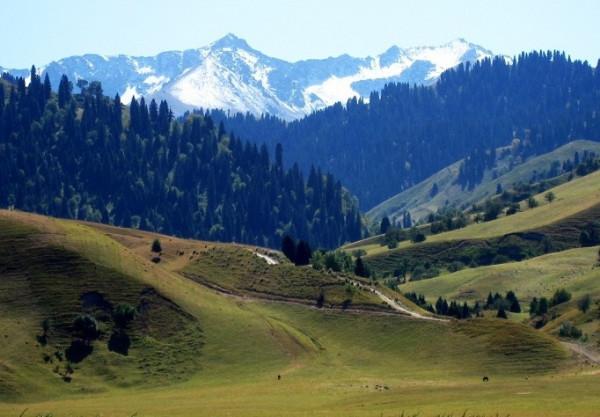 主要氣候型別，最惡劣的氣候只下雪不下雨，風速360千米每小時