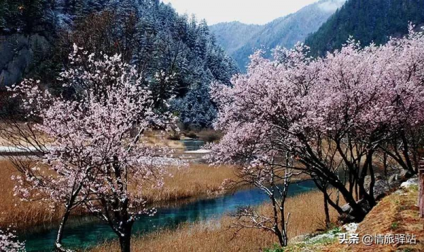 適合兩個人打卡的旅行清單，看完收藏