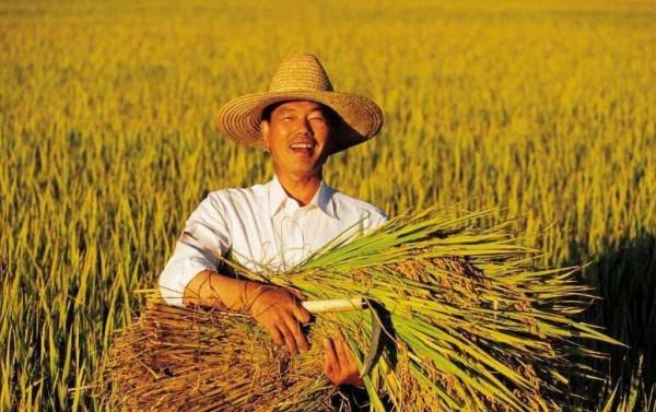 村播走紅大江南北 網紅經濟助力鄉村振興