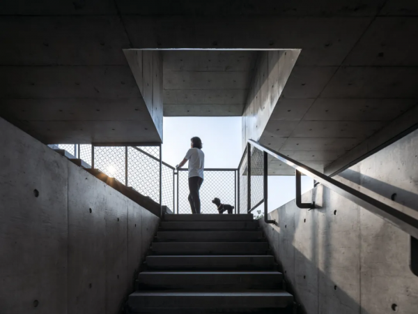 阿那亞新作,75m²獨梯獨戶寵物酒店,狗生圓滿不過如此 阿那亞新作,75m²獨梯獨戶寵物酒店,狗生圓滿不過如此