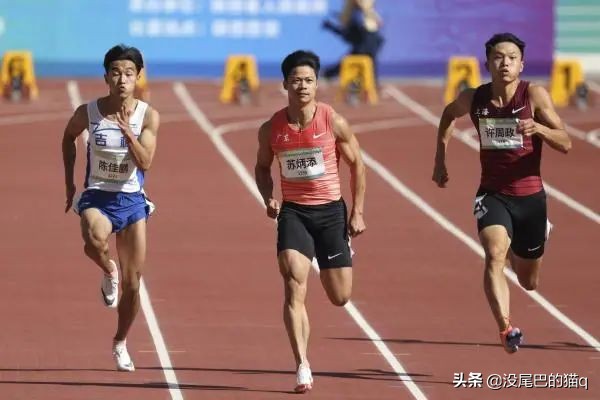 全運會最新獎牌榜：山東31金一騎當先，廣東、江蘇被拉開差距