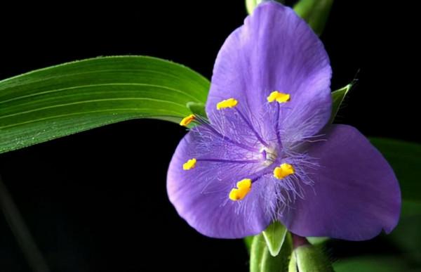 看清一個人,三件事就夠了 看清一個人,三件事就夠了