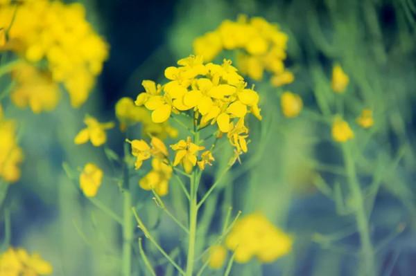 9月,這10個地方藏著中國最美景色!千萬別錯過了 9月,這10個地方藏著中國最美景色!千萬別錯過了