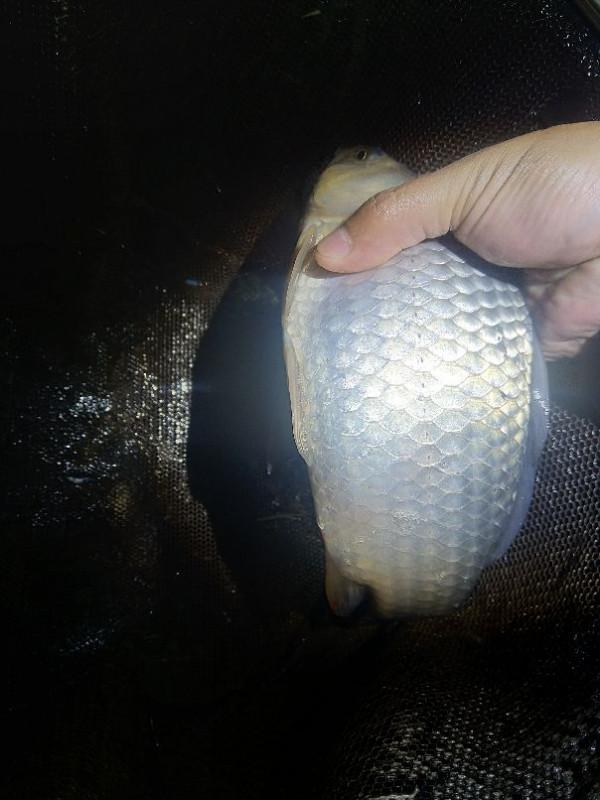 光會釣魚不算一個合格的釣魚人