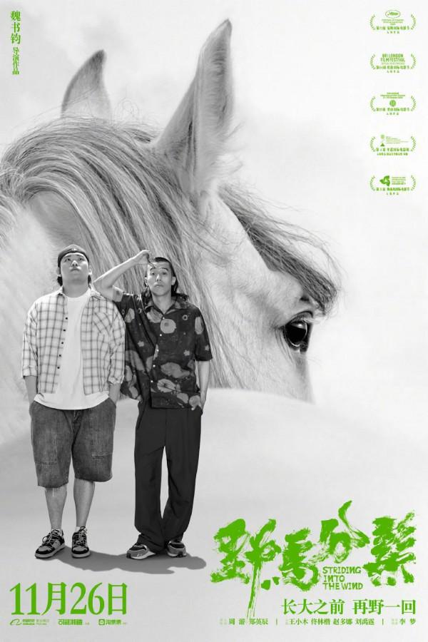 11月院線持續回暖，11部即將上映的新片，你最想看哪一部？