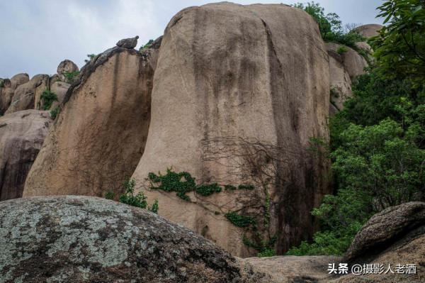 河南駐馬店有個5A級景區,與西遊記有深厚淵源,怪石嶙峋絕美天下 河南駐馬店有個5A級景區,與西遊記有深厚淵源,怪石嶙峋絕美天下
