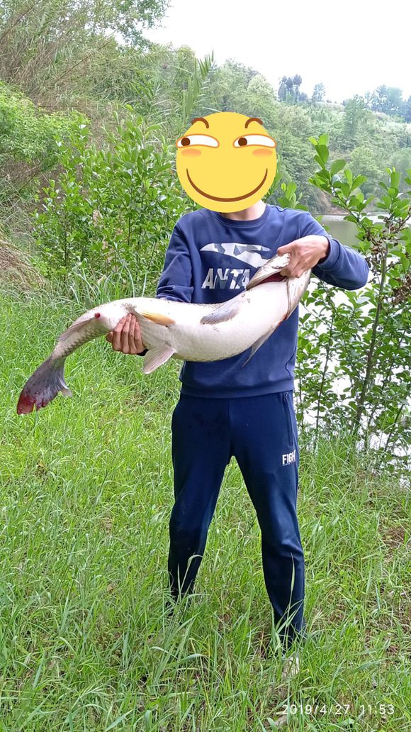 野釣如何告別：剛才跑了一條這麼大的！線組綁法很重要