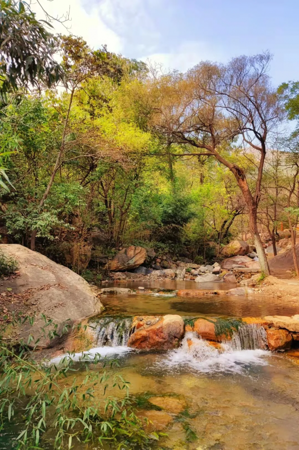 盤點2021年那些驚豔了時光的照片--王母山