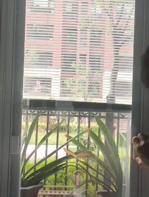 新家裝修結束2個月,和大家說說我後悔的5個決定,希望你別踩坑 新家裝修結束2個月,和大家說說我後悔的5個決定,希望你別踩坑