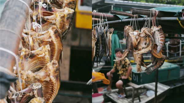 傍晚的贛州古浮橋，是我今年看過最美的畫面