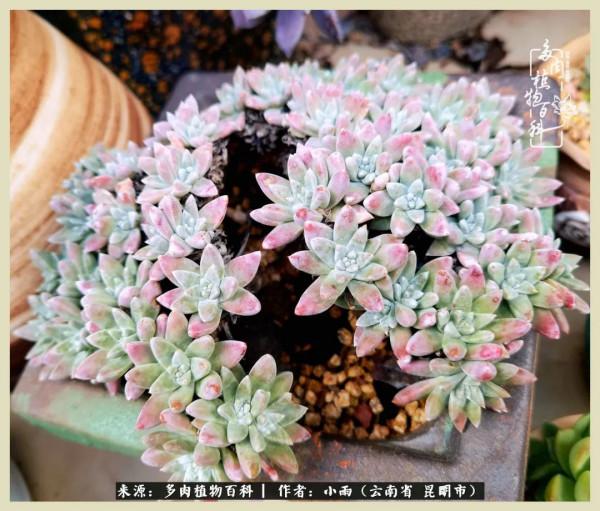 用一份熱愛，溫暖一段時光