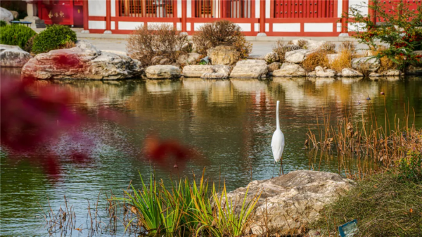 華清宮的初冬美景，驚豔了誰的時光？