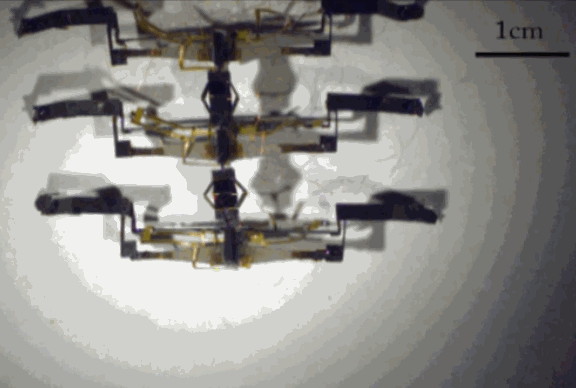 哈佛大學微型機器人實驗室研究出壓電雙晶片多足機器人 哈佛大學微型機器人實驗室研究出壓電雙晶片多足機器人