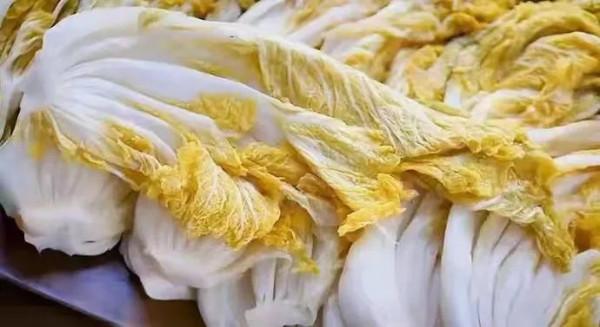 李琴：酸白菜，那牽動著的情思