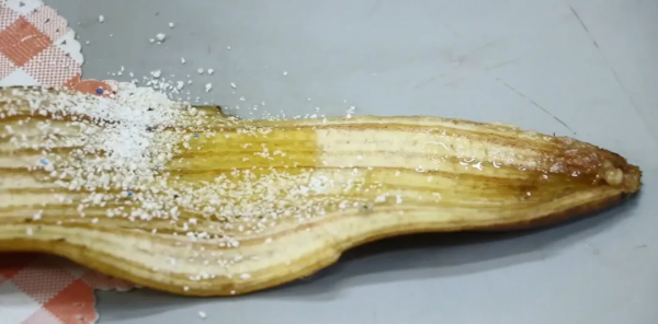 扔香蕉皮等於在“扔錢”,切碎放在廚房角落真厲害,既省錢又實用 扔香蕉皮等於在“扔錢”,切碎放在廚房角落真厲害,既省錢又實用