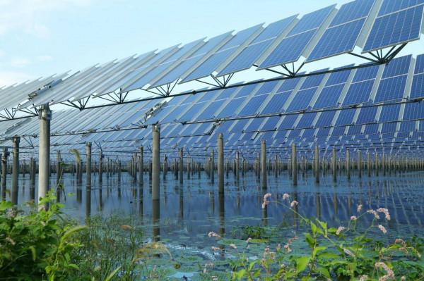 一邊養魚一邊發電，中國建亞洲最大水上發電站，18個鳥巢面積大小