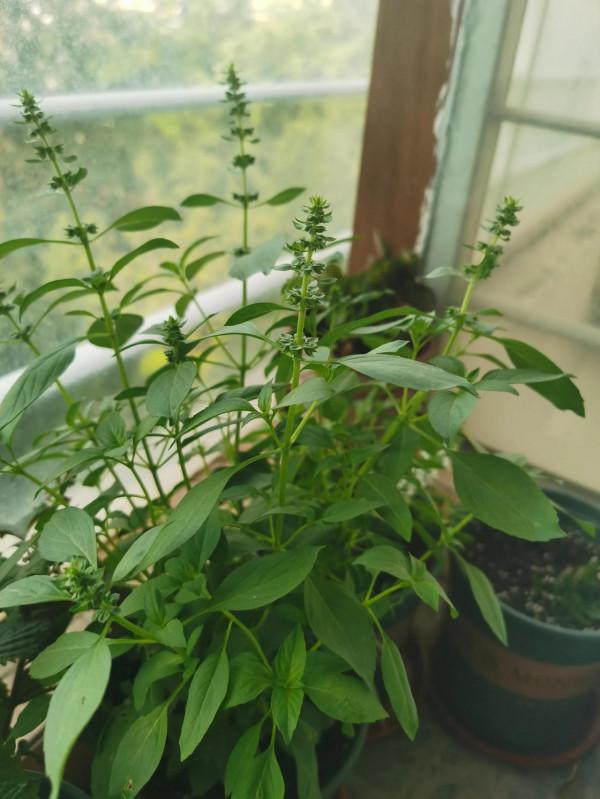 致那些無法繼續的愛好們 致那些無法繼續的愛好們