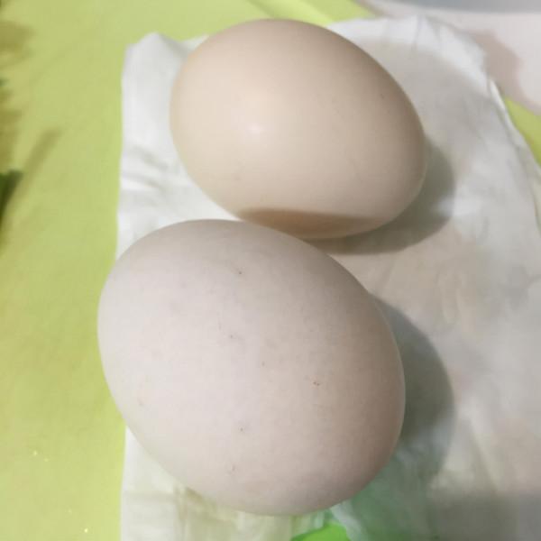 韭菜雞蛋炒麵,色澤豔麗,鮮香美味,看著好有食慾 韭菜雞蛋炒麵,色澤豔麗,鮮香美味,看著好有食慾